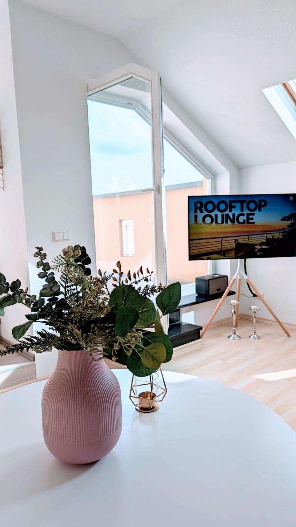 Rooftop Art Apartment, E-roller,ausblick,wlan,tv * Chemnitz