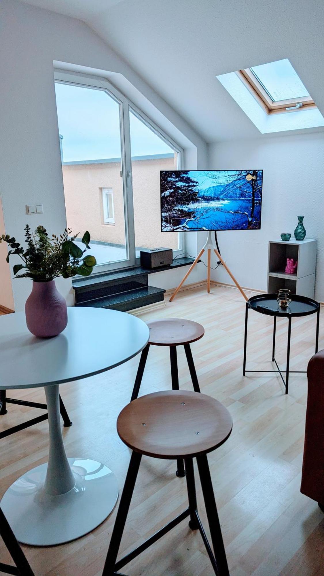Apartment Rooftop Art Apartment, E-roller,ausblick,wlan,tv Chemnitz